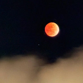 【5月のセッション枠を更新しました／最新のご感想】