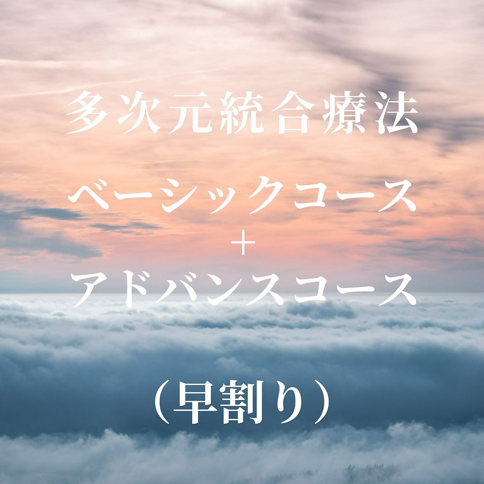 多次元統合療法 ベーシック＋アドバンス 早割 (全10日間)