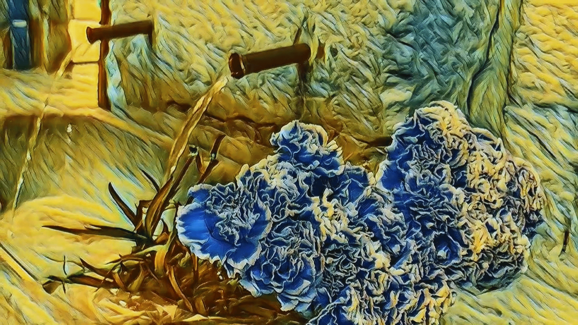 gif_005
