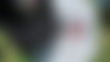 Integrating Support Culture Through Junior Golf, Charity, and Competition: 3 Event Series Explained