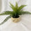 Thumbnail: Beige-cream decorative pot