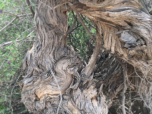 Rewoven by the Loom - The Creative Process in Action 