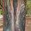 Thumbnail: Cotton Gauze Silk Velvet Bubbe Medicine Blanket  - Totem