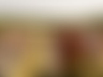 Mariage familiale champ d'olivier provence - hébergement