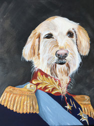 Admiral Gus