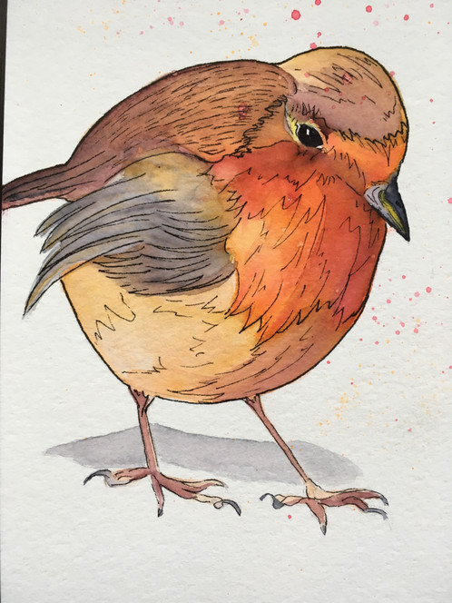 Plump Chicken