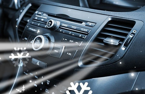 447_069257800 (2).jpg