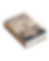 Tales of a Time Traveling Playmaker.png