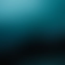 חמישים גוונים של חרדה