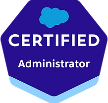 Salesforce Administrator.png