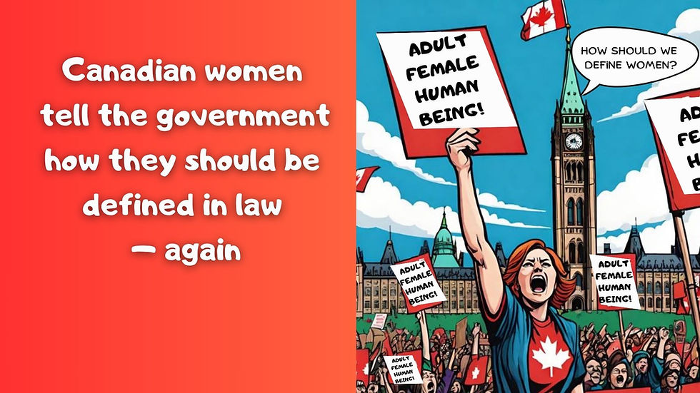 Canadian women tell government how they should be defined in law: Title page