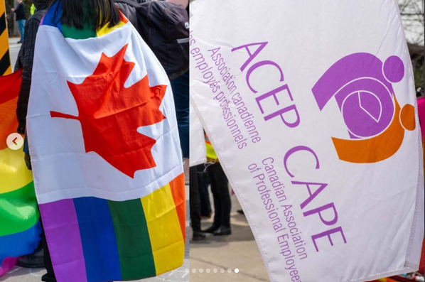 Mayday in Canada's Capital: CAPE protests Billboard Chris