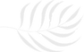 Biscayne Palmera B.png