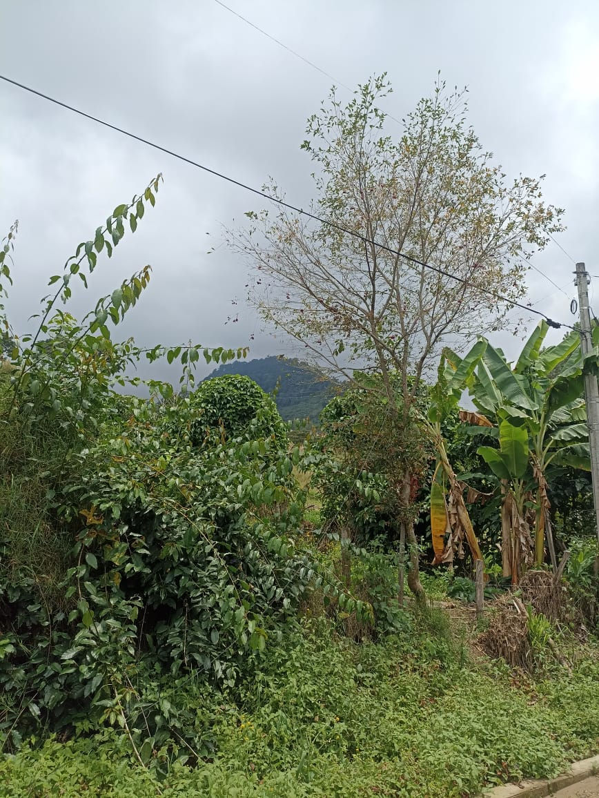cerro fusacata