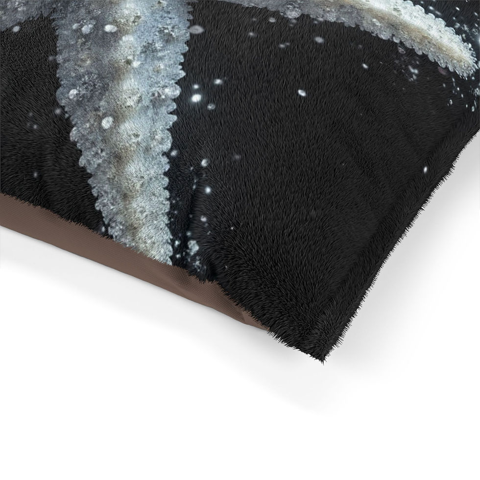 Thumbnail: Starfish - Collection, Pet Bed