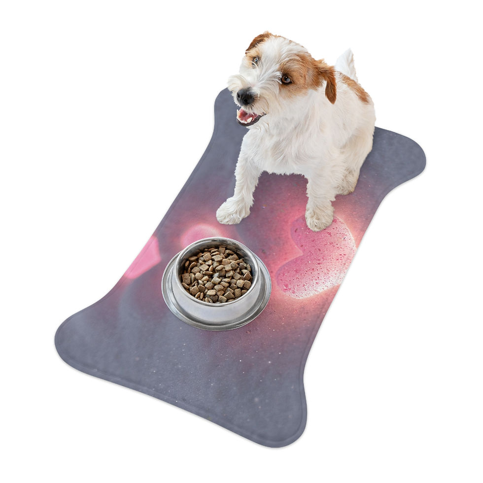 Thumbnail: Follow Your Heart - Collection - Pet Feeding Mats