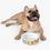 Thumbnail: Valentine - Collection Pet Bowl