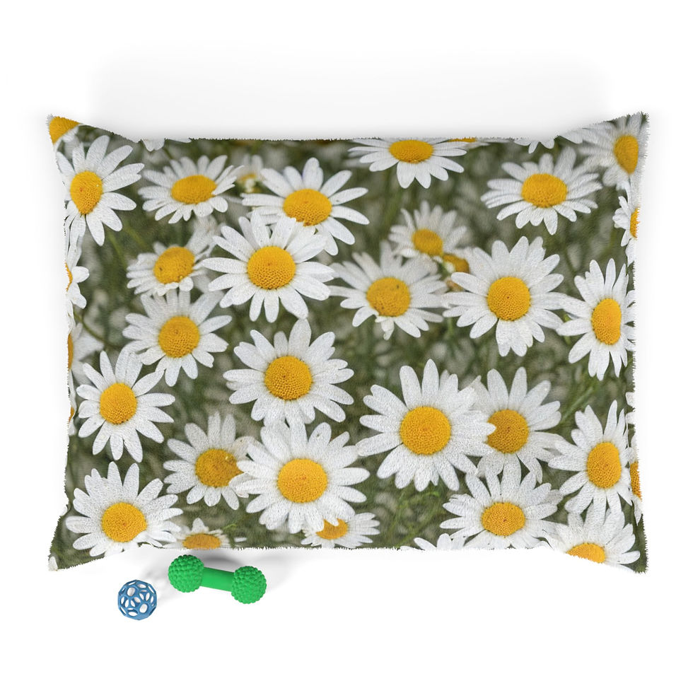 Thumbnail: Daisy - Collection, Pet Bed