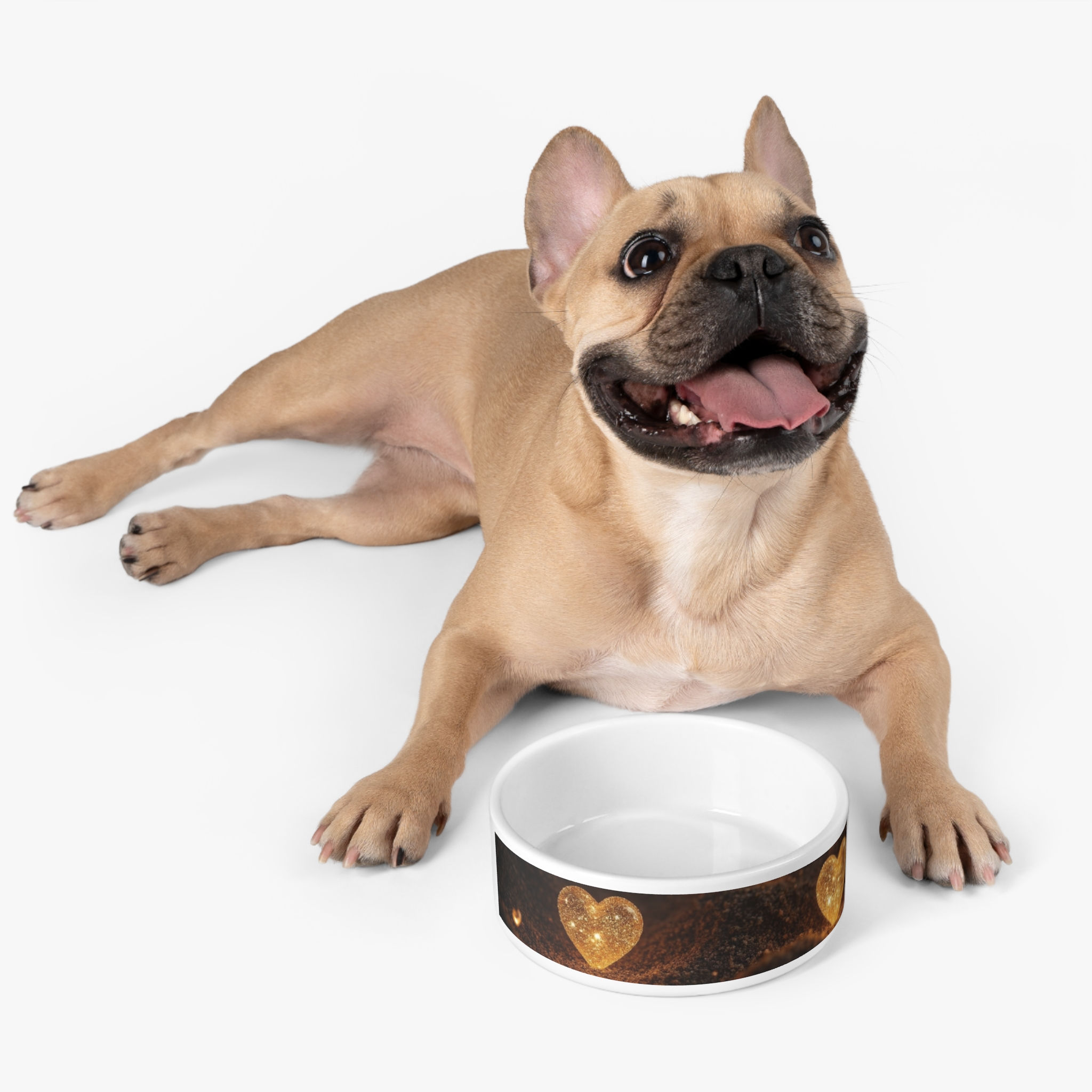 Valentine - Collection Pet Bowl