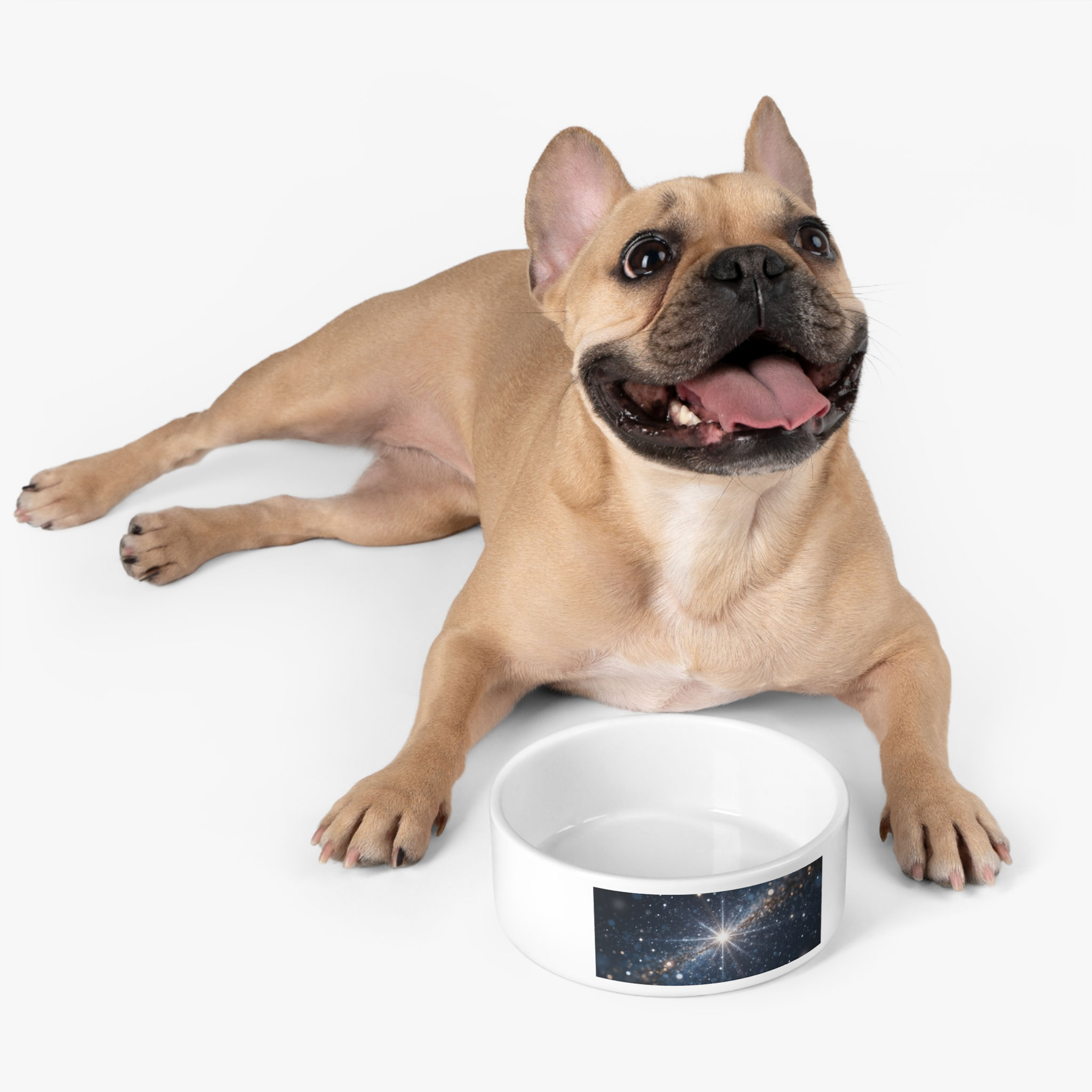 Night Star Collection - Pet Bowl