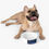 Thumbnail: Moon & Stars Collection - Pet Bowl