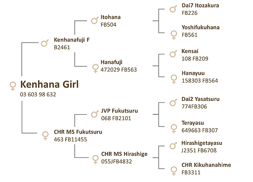 Kenhana Girl.png