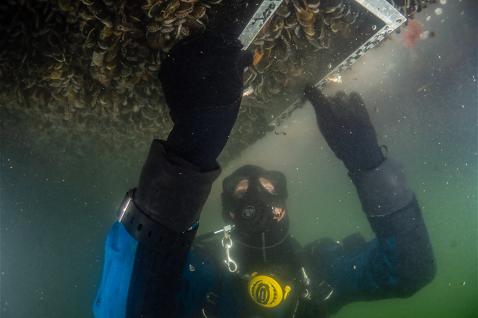 A photographic journey into the future of the ocean. Beyond the surface