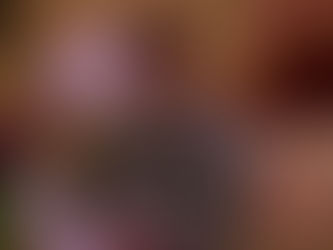 Health and Plant Protein Group Limited - Who are they?