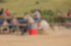 Benefits of Equine Therapy, Therapy for your Barrel Horses, Maintaining Barrel Horse's Health, Equine Health, Horse Health, Holistic Health for Horses, Equine Therapy, Equine Therapy in Manitoba, Canada