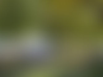 Ivan Allen College Homecoming Pix