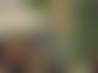 Review of Riley, New World Medievalisms