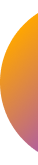 Vector (3).png