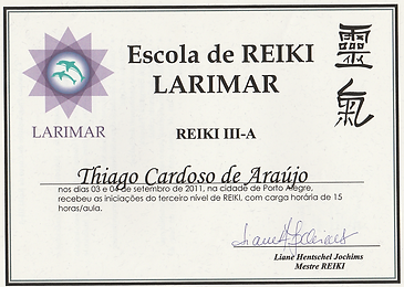 2012 - Reiki Nivel III-A - Escola Larima