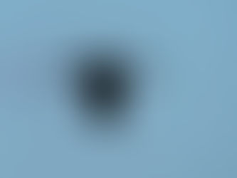 RSPB Dungeness. Glossy Ibis. 09.04.22