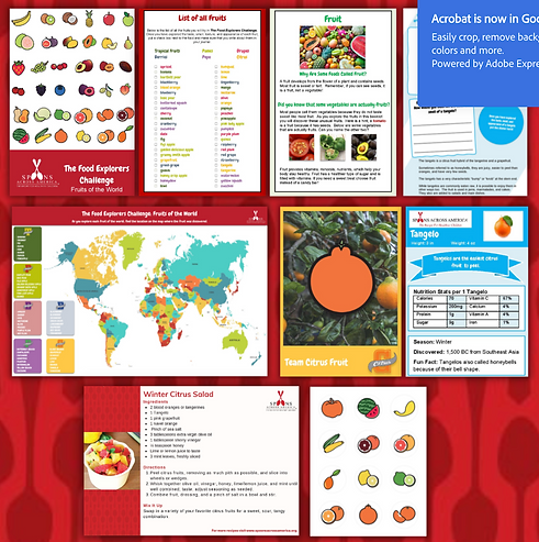 Screenshot 2025-11-24 at 11.47.33 AM.png