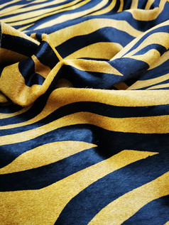 New zebra Camel