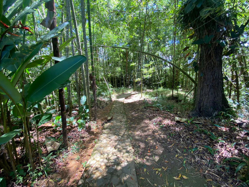 WhatsApp Image 2024-06-05 at 2.59.42 PM (1).jpeg