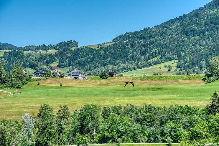 Familienhotel Bregenzerwald