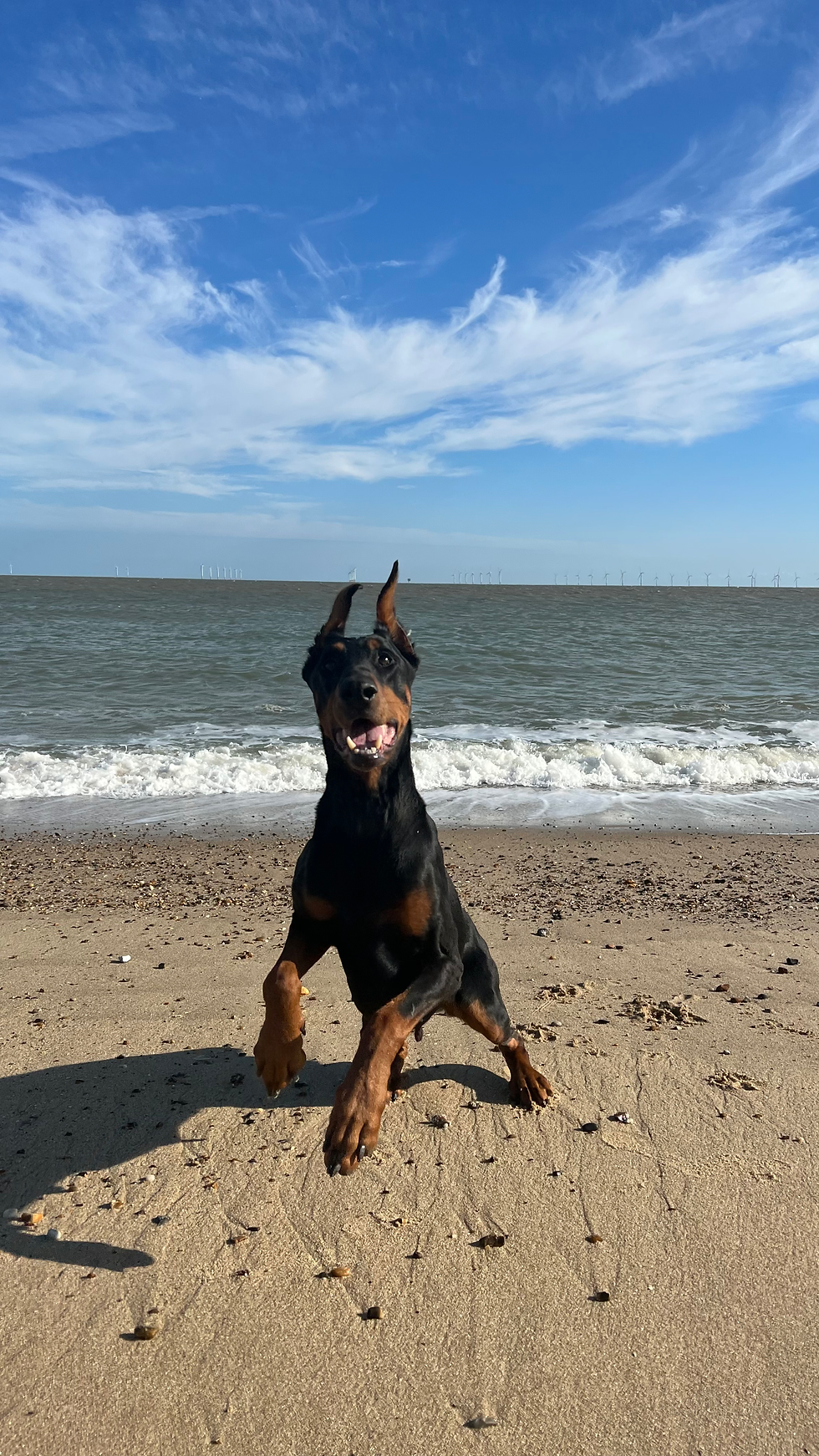 14D20B54-1E3C-44A3-A339-D8444E82DD22