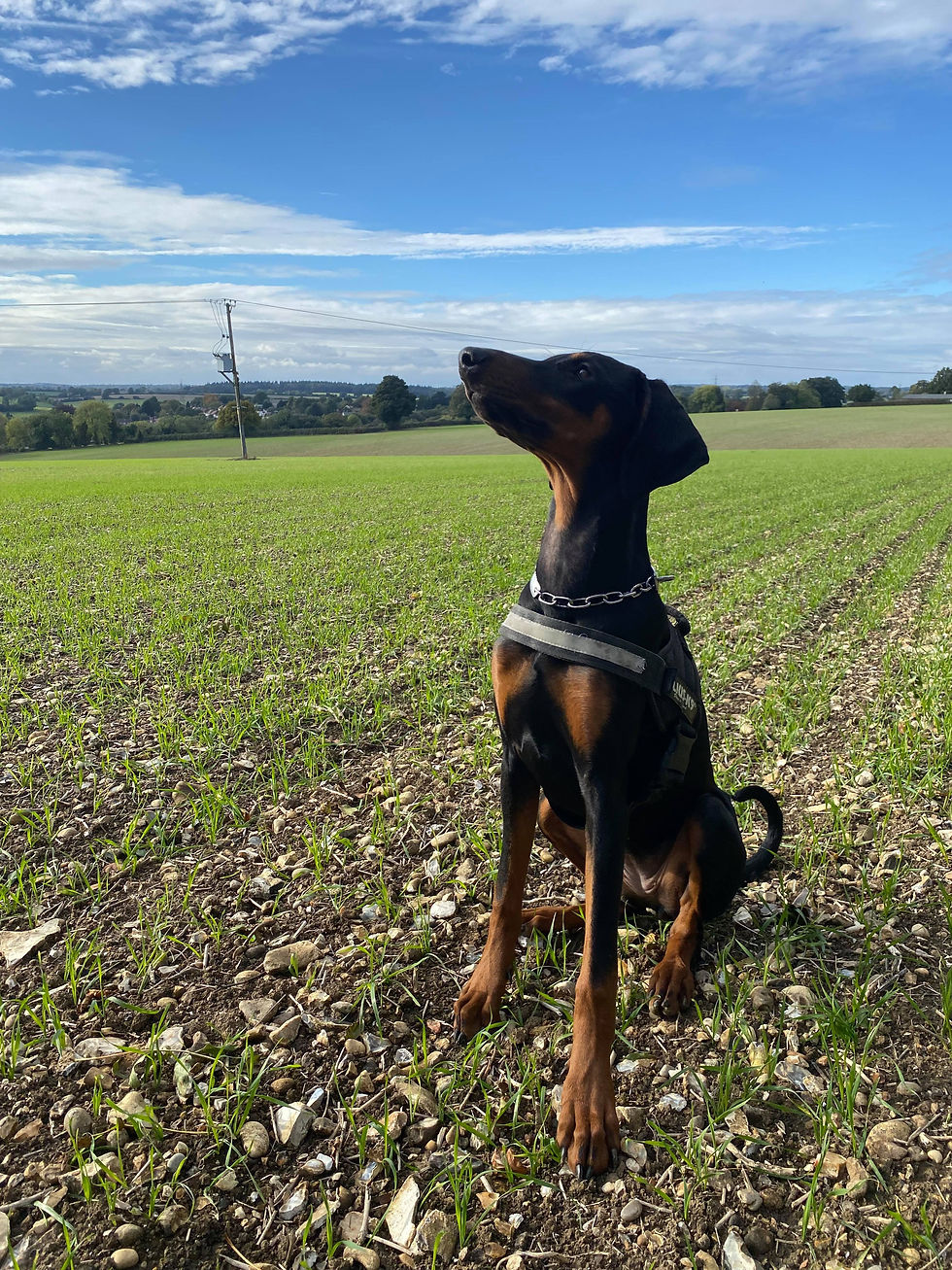 248255025_389914206187830_3581334157434671044_n