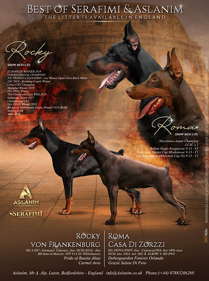 92099275_2634850736734901_84405962082961