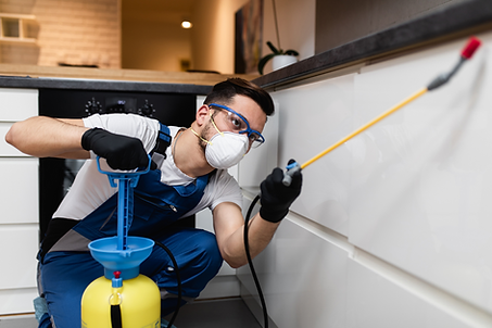 Protect your lawn with our comprehensive pest control services. We use targeted treatments to eliminate pests and prevent inf