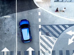 Blue bright eyed VW beast