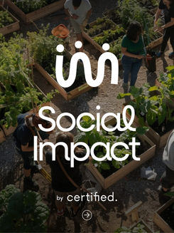Introducing Social Impact
