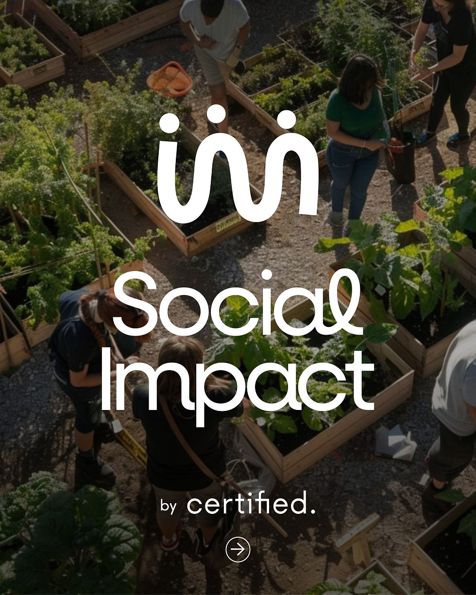 Introducing Social Impact