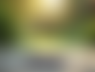 Nwabekee Health: A Holistic Approach