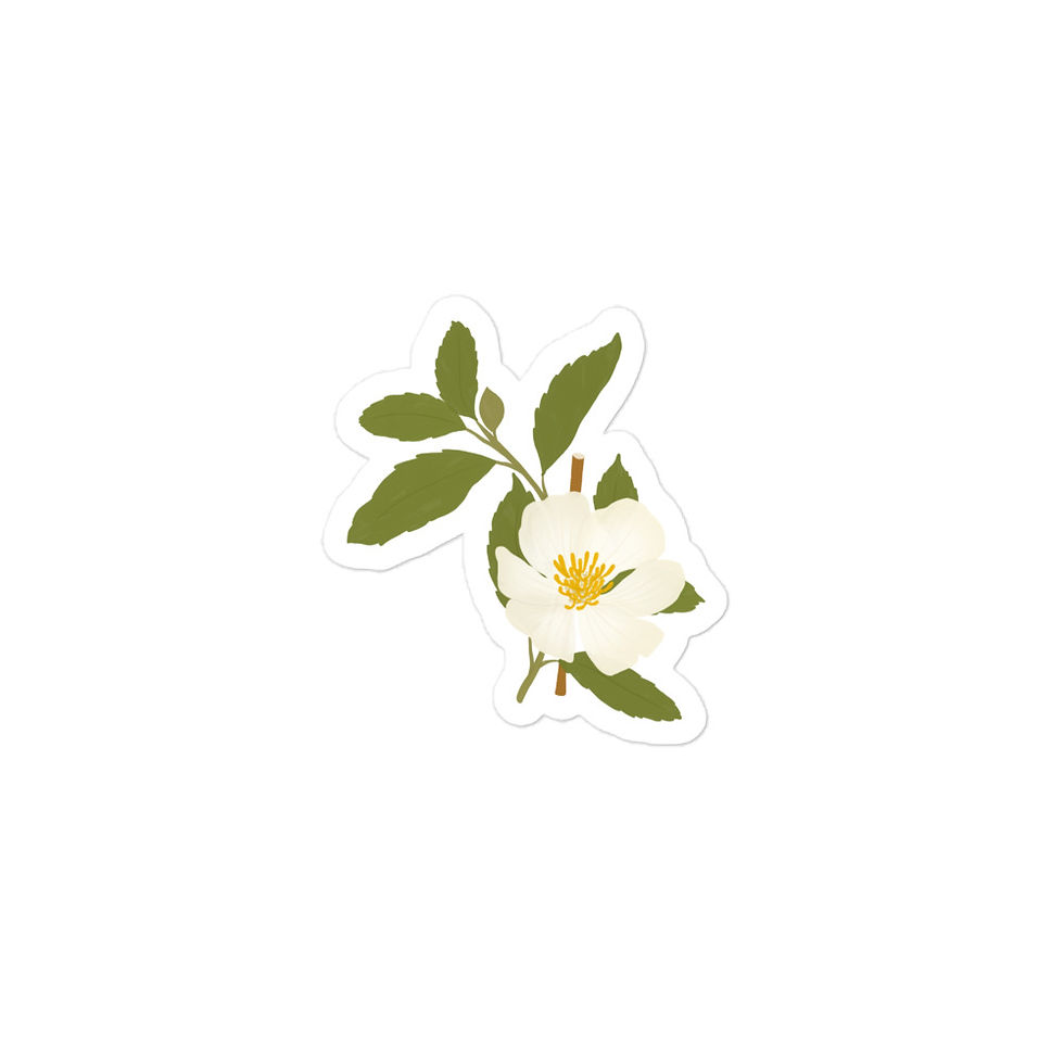 Thumbnail: Small white magnolia flower with leaves vinyl sticker on white background.