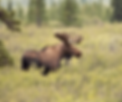 D6B311A7-F82A-4569-9B94-54E630780AE2.png