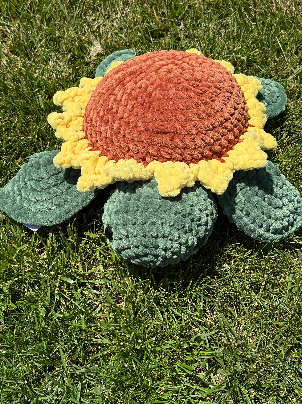 Thumbnail: Sunflower Turtle