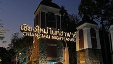 【清邁景點】清邁夜間動物園 Night Safari|必玩亮點、交通門票、附近景點及餐廳